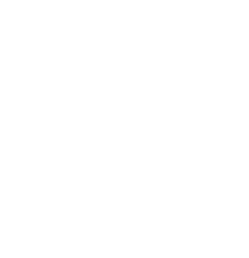 Salter Brothers logo white